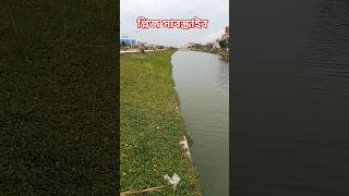 vlogs saiful duet lovesong love musicgenre funny duetwithsaifu [upl. by Samaj103]