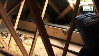 Single Velux Loft Conversion [upl. by Nalat193]