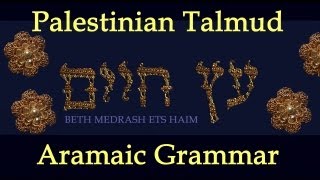 46 Aramaic Lessons and Reading Yerushalmi Palestinian Talmud Berachot 2 4c RYohanans tefillin [upl. by Swigart]