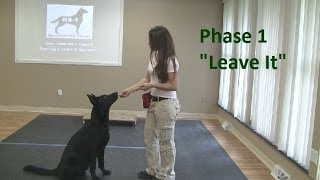 How to Train a Dog to quotLeave Itquot K91com [upl. by Applegate183]