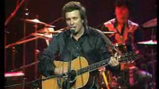 Don McLean  Fools Paradise [upl. by Ahsitnauq195]