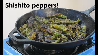 Shishito peppers recipe Blistered charred delicious [upl. by Cherey]