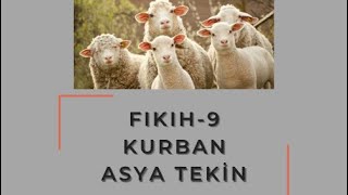 FIKIH9 🐂 Kurban dikab dhbt mbsts [upl. by Aeynod12]