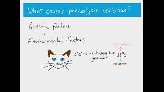 GCSE Biology Revision quotVariationquot [upl. by Obelia]