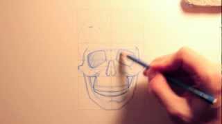 Tutorial Disegno Lezione 04 quotAnatomia del Teschioquot [upl. by Anileme]