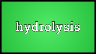 Hydrolysis Meaning [upl. by Annalee]