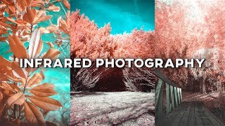 Infrared Photography with an IR Lens Filter [upl. by Cantone]