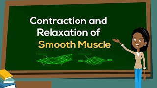 Contraction and Relaxation of Smooth Muscle  Physiology Animation  VLearning™ [upl. by Leigh]