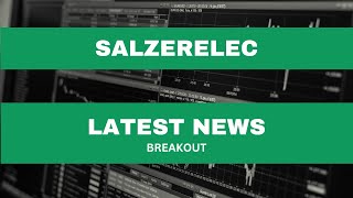 Salzer Electronics Limited Latest News and Analysis  Fundcode [upl. by Weatherby]