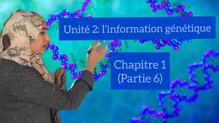 Unité 2 l’information génétiquechapitre 2partie 6 réplication de l’ADNexpérience de Taylor [upl. by Sivahc]