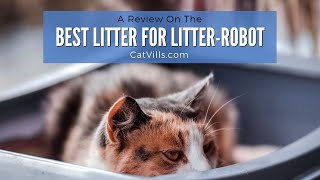 THE BEST CAT LITTER FOR LITTER ROBOT [upl. by Ennael]