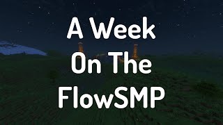 I Spent A Week On A Youtubers SMP [upl. by Evvy795]