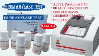 Serum Amylase Test Procedure  How To Performed in Humalyzer 4000 [upl. by Egnalos]