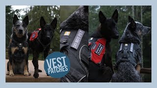 Adding velcro patches to your dog harness [upl. by Stelu]