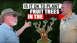 Is it OK to Plant Fruit Trees in SHADE Plus Pruning Example W Tree Expert Tom Spellman [upl. by Eiclek740]