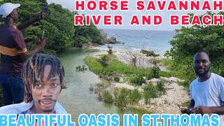 BEAUTIFUL HIDDEN GEM UNDERNEATH HORSE SAVANNAH BRIDGE STTHOMAS JAMAICA [upl. by Marko]