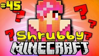 SUNNY WAS MÖCHTEST DU  Minecraft Shrubby 45 DeutschHD [upl. by Olney]