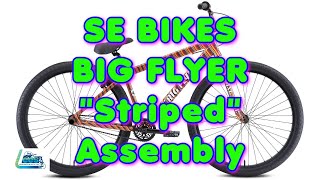 SE BIKES Big Flyer 29er Striped 4k Lees [upl. by Amaso682]