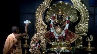 Narasimha Aarti June 08 2019 [upl. by Eirok]