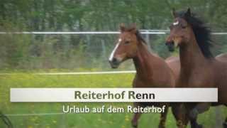 Reiten in Rheinland Pfalz Ferienwohnung Limburg an der Lahn Reiterhof Renn [upl. by Rediah]