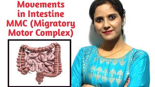 MMC amp SEGMENTATION MOVEMENTS [upl. by Tegirb]