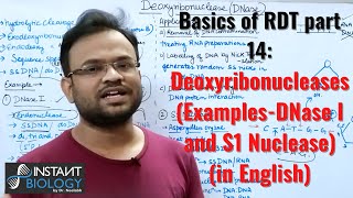 Basics of RDT part 14 Deoxyribonucleases ExamplesDNase I and S1 Nuclease [upl. by Barbarese]