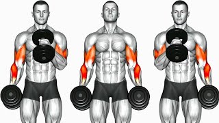 Biceps Workout 6 Best Exercises to build Strong Bicep [upl. by Pennington776]