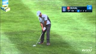 David Duval Swing Compilation [upl. by Revlys]