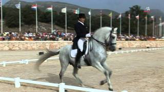 FUEGO DE CARDENAS Campeonato España Doma Clásica 2008 Gran Premio Especial [upl. by Rooke]