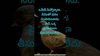 Neethi vakyalu 818  jeevitha satyalu  manchi matalu  top matalu  quotations  telugu sukthulu [upl. by Korwin]