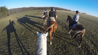 Reiterferien auf dem Ferienhof Schepper [upl. by Lihka604]