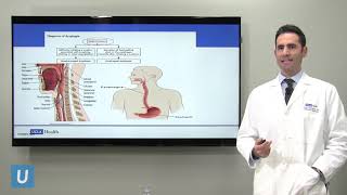 Evaluation and Treatment of Dysphagia Craig Gluckman MD  UCLAMDChat [upl. by Jaycee]