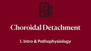 Choroidal Detachment I Introduction amp Pathophysiology [upl. by Ahsoyek]