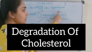 Degradation of Cholesterol [upl. by Noffets]