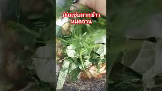 แกงอ่อมเนื้อแซ่บๆ thaifood [upl. by Ettena]