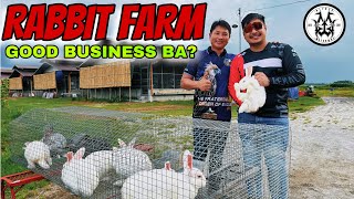 RABBIT FARMING  EXPERT ADVICE FROM MANAGER OF BARBITSON HEARTY MEATS [upl. by Aicirtap]