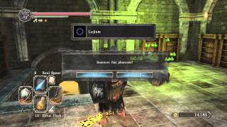 Dark Souls 2 Aldias Keep SECRETS  Guardian Dragon Boss [upl. by Ahtimat191]