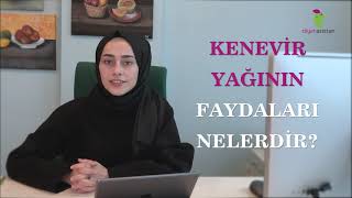 Kenevir Yağı 7 Faydası Kullanım Alanları Ve Yan Etkileri [upl. by Milah]