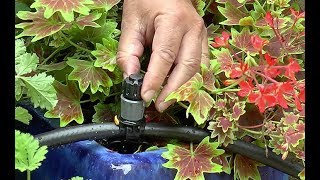 COMMENT ET POURQUOI INSTALLER UN SYSTÈME DE MICRO ARROSAGE DANS LE JARDIN OU SUR LE BALCON [upl. by Estas]