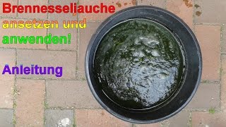 Brennesseljauche ansetzen – Naturdünger selber machen  DIY Brennesselsud Dünger [upl. by Monahan]