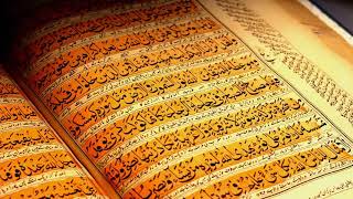 Full Quran 1 30 Para সু মধুর কন্ঠে সম্পূর্ণ ৩০পারা কোরআন তেলাওয়াত। al quran quran explorer [upl. by Nnylear]