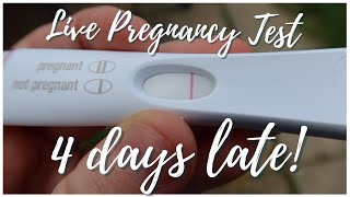 Live Pregnancy Test 4 Days Late for Period [upl. by Aznola]