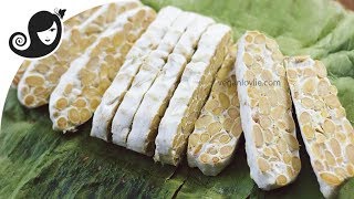 How to Make Tempeh Homemade  Easy Method [upl. by Sib253]