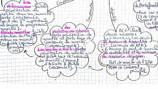 la gestion stratégique de portefeuille dactivité La Matrice BCG [upl. by Aicats]