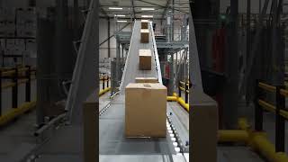 Efficient Unloading  A Boxs Journey from Shipping Container to Palletizer A FirstPerson View [upl. by Haissem]