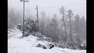 Nevado de Toluca se pinta de blanco por primera nevada del año [upl. by Chadbourne]