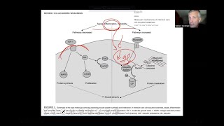 Dr Giulliano Gardenghi  Marcadores inflamatórios e prescrição do exercício no ambiente hospitalar [upl. by Aivatnohs]