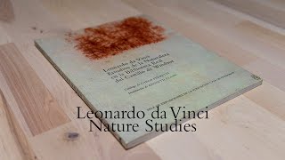 Leonardo da Vinci Nature Studies from the Royal Library at Windsor Castle [upl. by Ribal]