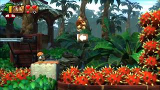 Donkey Kong Country Tropical Freeze  100 Walkthrough  54 Panicky Paddles Secret Exit [upl. by Jamil]