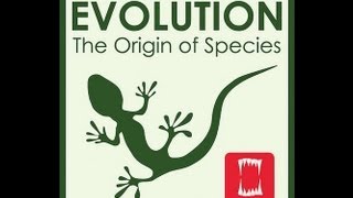 Evolution The Origin of Species Review [upl. by Lindgren]